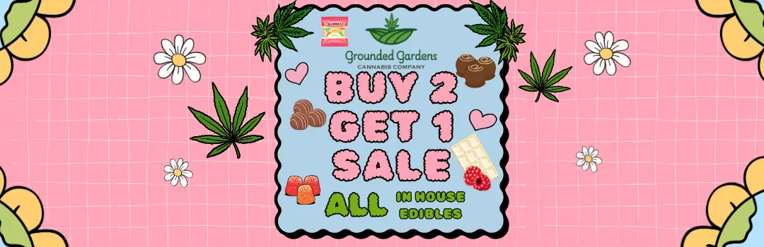 Buy 2 Get 1 Free