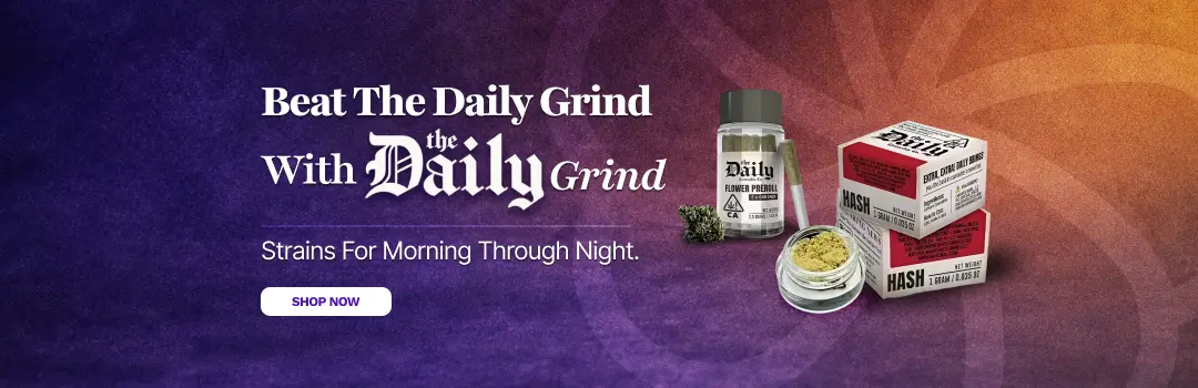 Brand - Daily