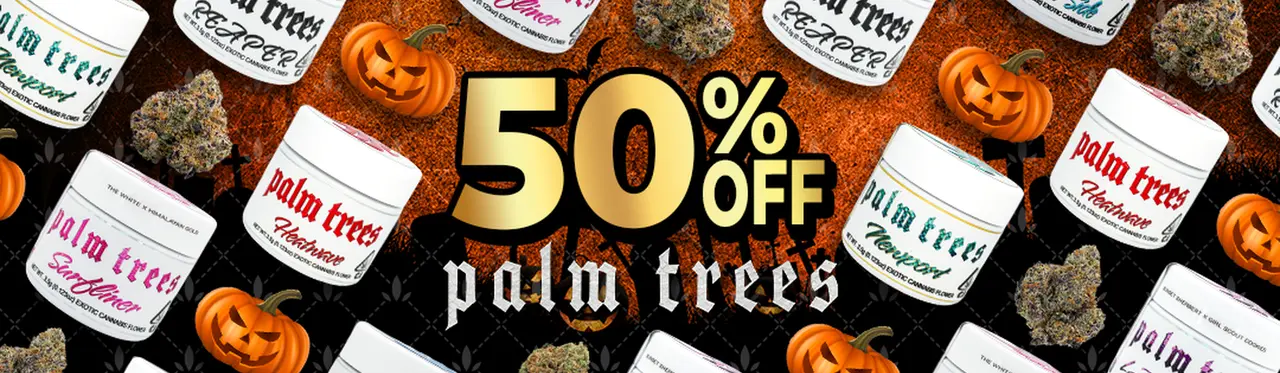 50% off Palm Trees Indoor Flower