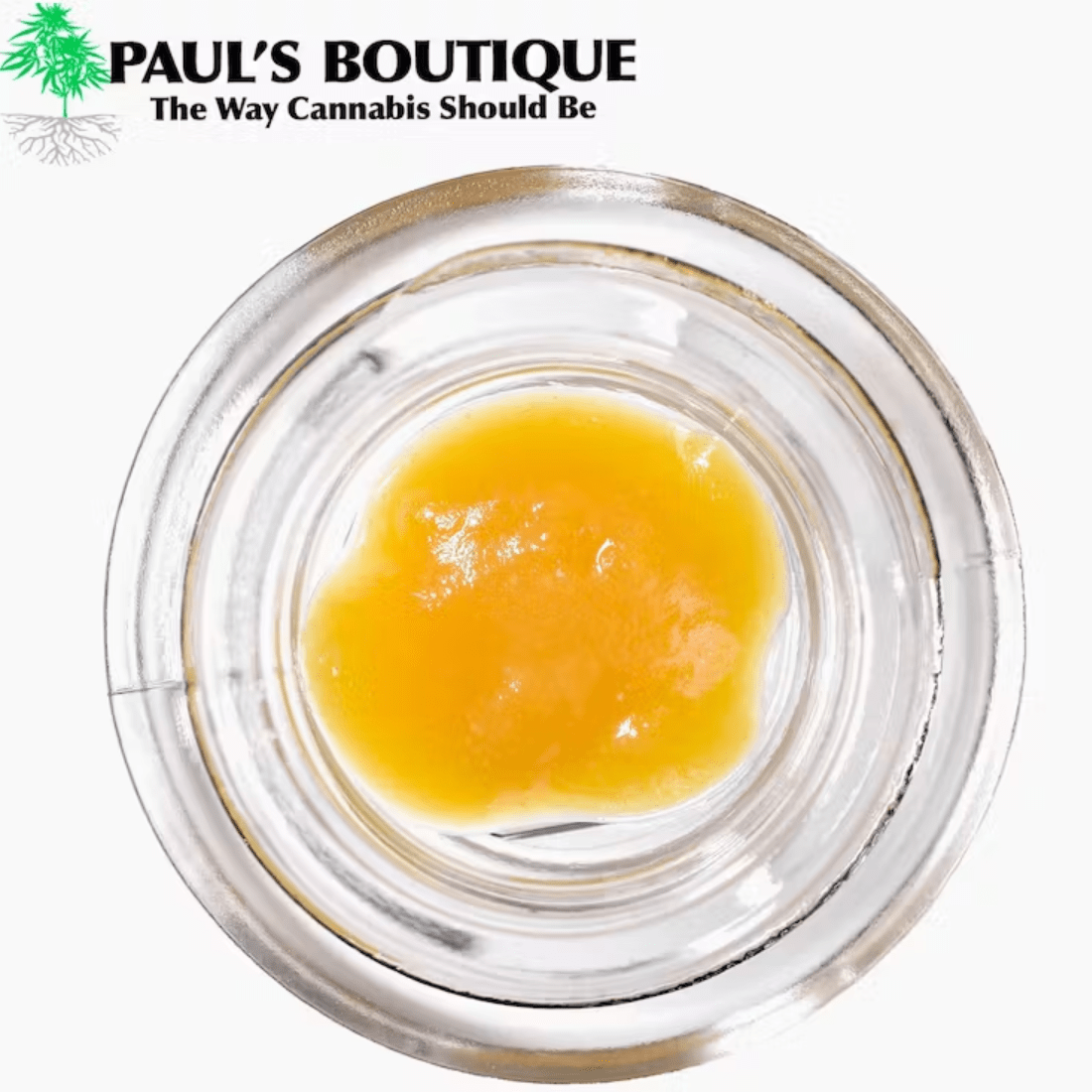 https://dr5urbp0m8lal.cloudfront.net/1/brand_photo/1e67b51556028c1c3d76595146eb06ee.png