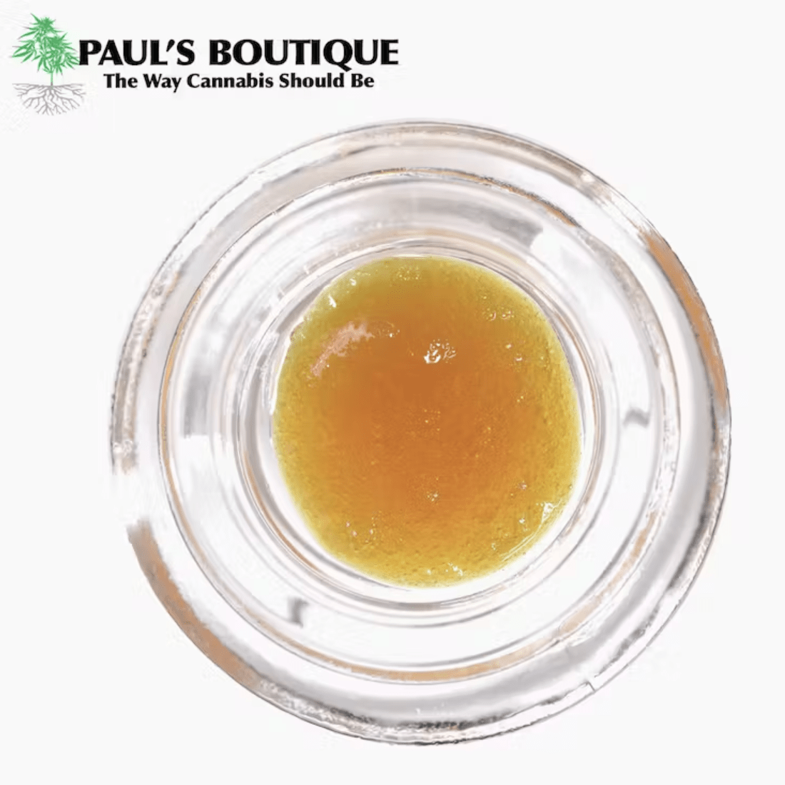 https://dr5urbp0m8lal.cloudfront.net/1/brand_photo/2c79f30db47b80a96ea895b742f99dce.png