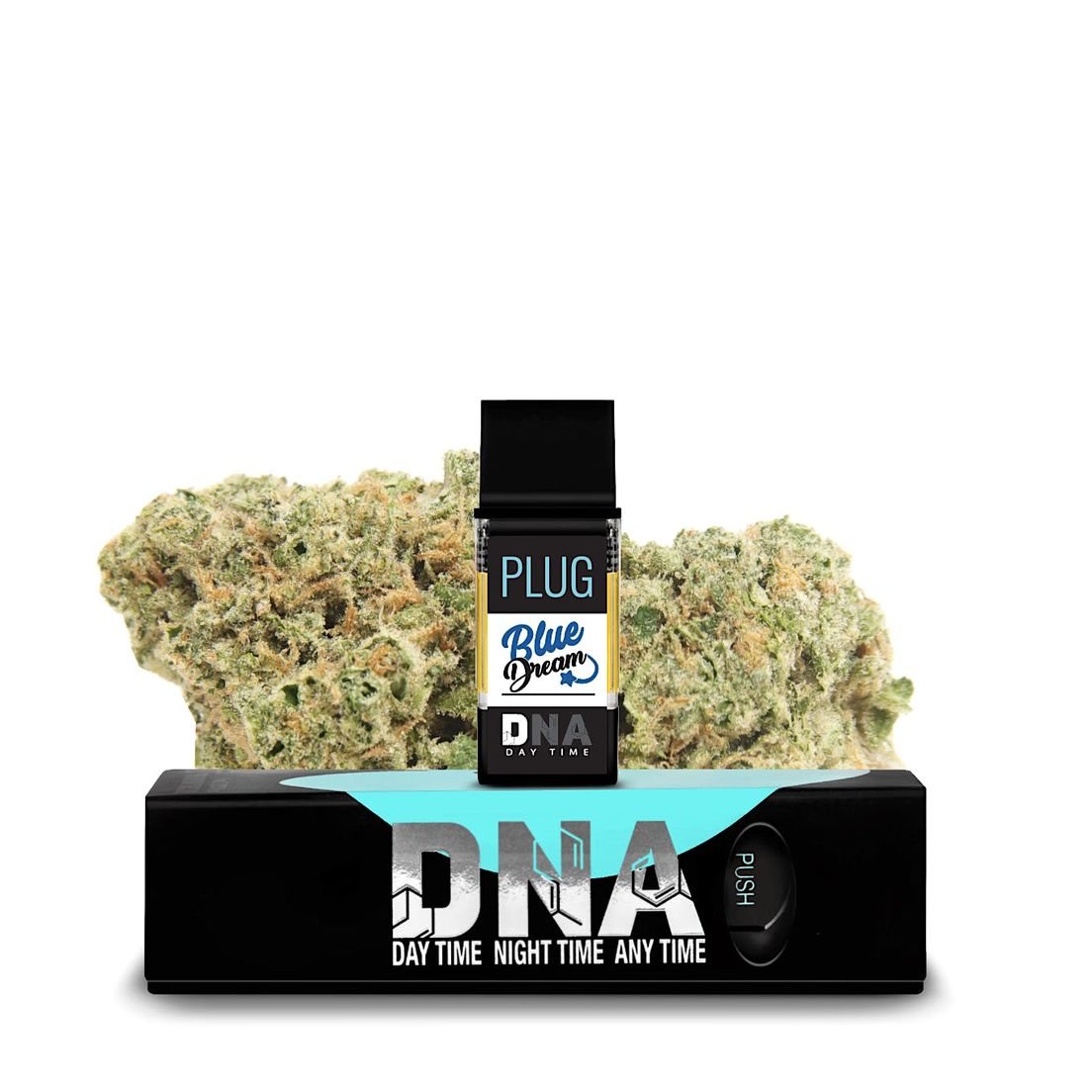 PLUG DNA: Blue Dream