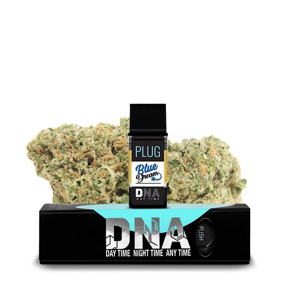 PLUG DNA: Blue Dream