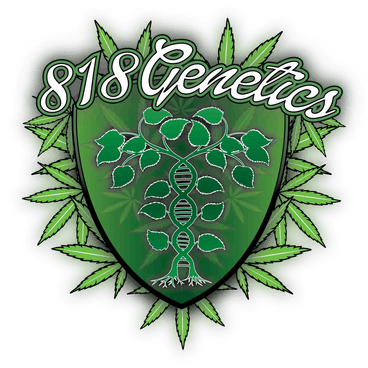 818 Genetics