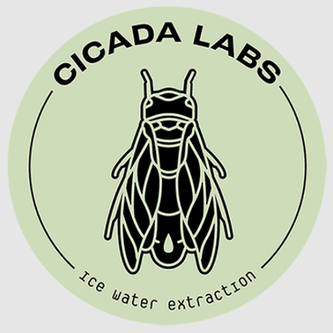 Cicada Labs