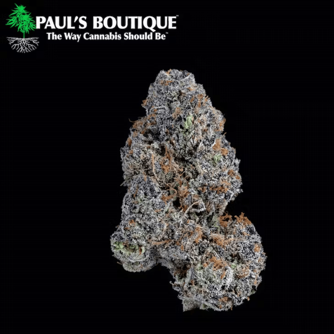 https://dr5urbp0m8lal.cloudfront.net/1/brand_photo/5ff1207f45011b8c4ecd4461df4ffa88.png
