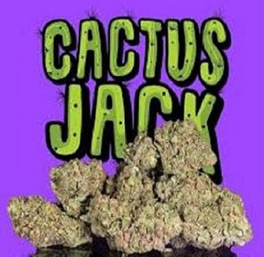 Cactus Jack