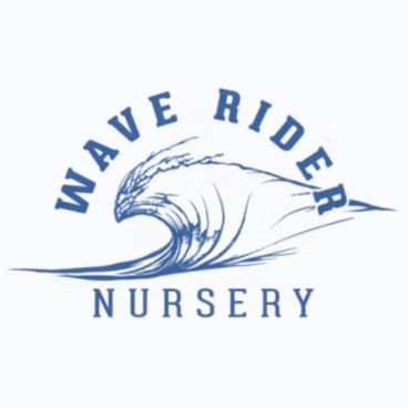 Wave Rider Nursery