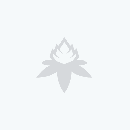 https://dr5urbp0m8lal.cloudfront.net/1/brand_photo/b36b9c359848a65178b40e3b52a52092.png