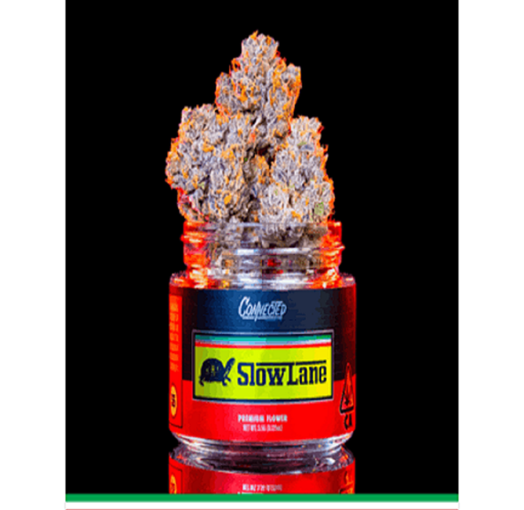 3.5G - Slow Lane Indoor