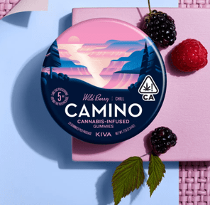 Camino Wild Berry Gummies 10MG