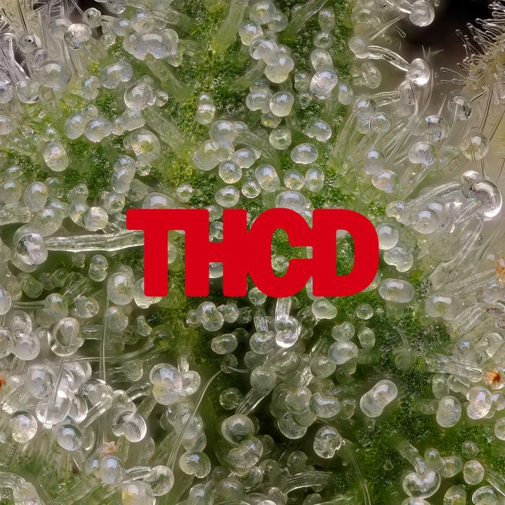 THC Design