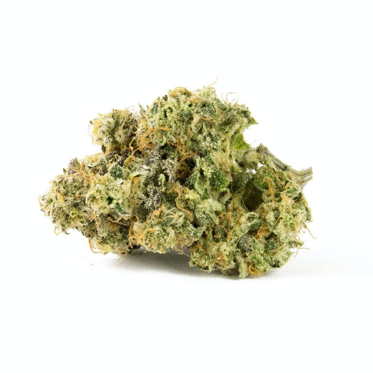 https://dr5urbp0m8lal.cloudfront.net/1/brand_product_photo/1635_26250_1.jpg