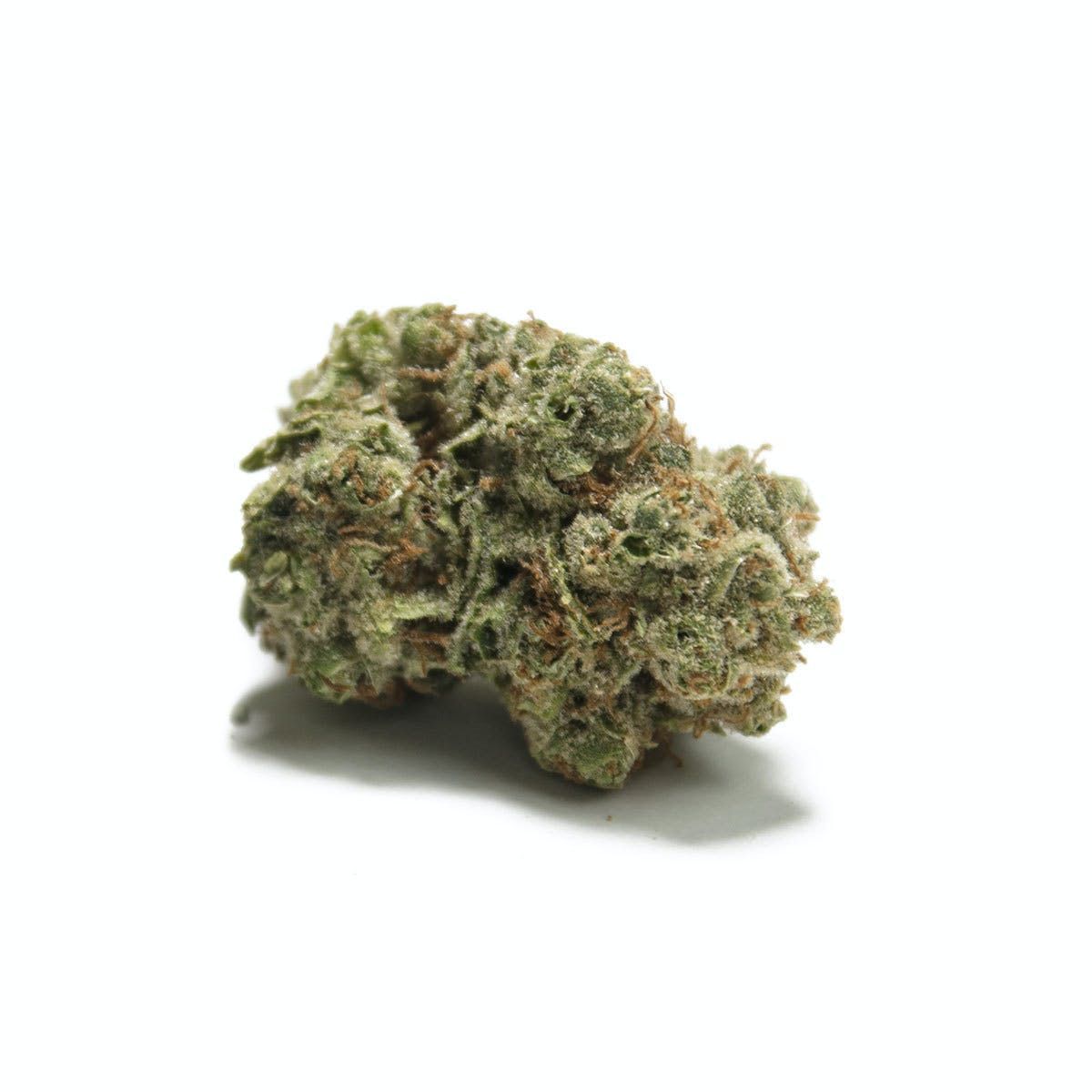 https://dr5urbp0m8lal.cloudfront.net/1/brand_product_photo/1635_26251_1.jpg