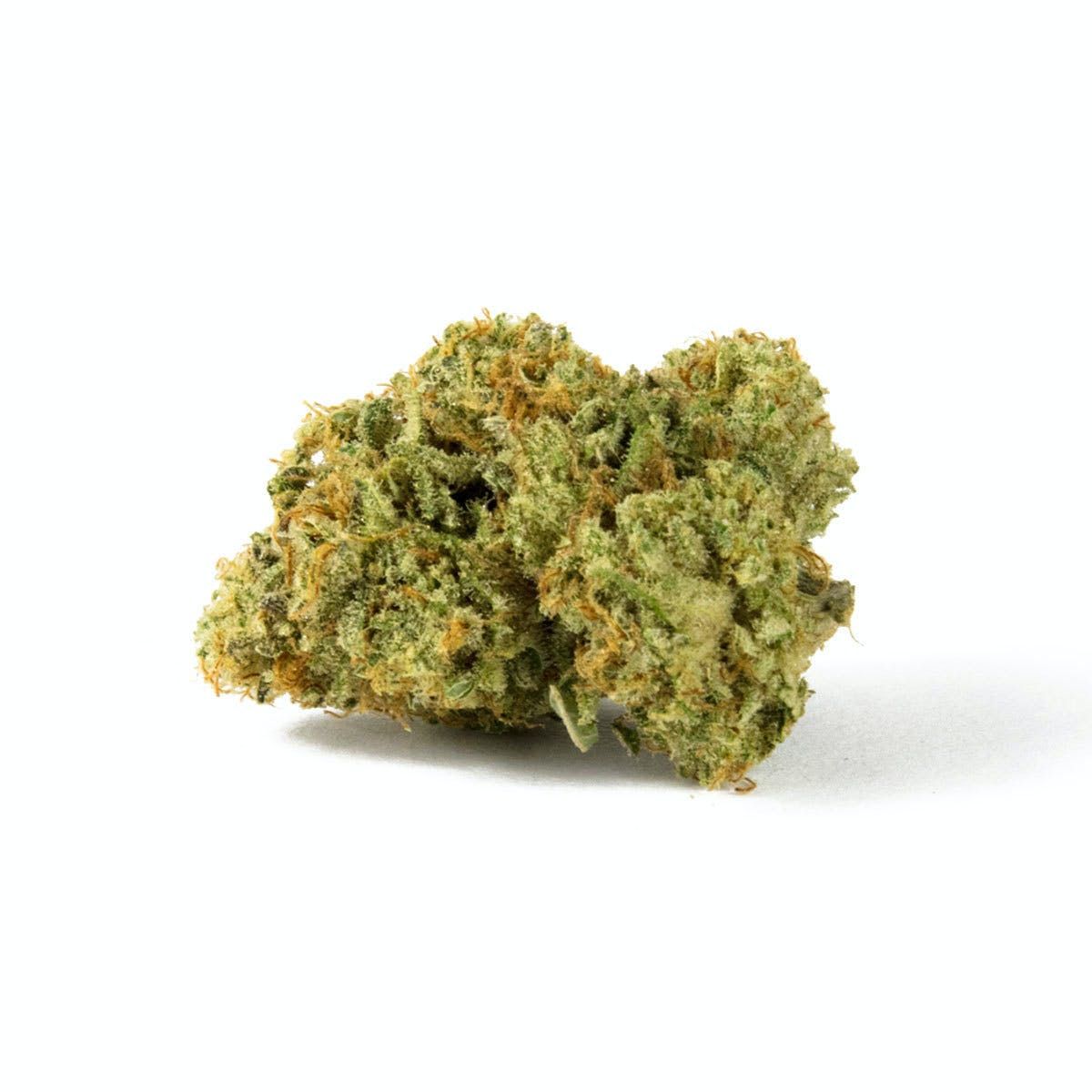 https://dr5urbp0m8lal.cloudfront.net/1/brand_product_photo/1635_34404_1.jpg