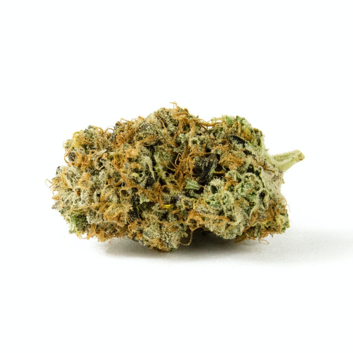 https://dr5urbp0m8lal.cloudfront.net/1/brand_product_photo/1635_48489_1.jpg