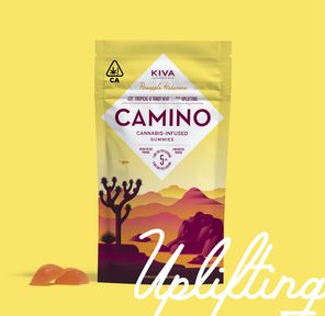 Camino Pineapple Habanero Gummies 100MG THC