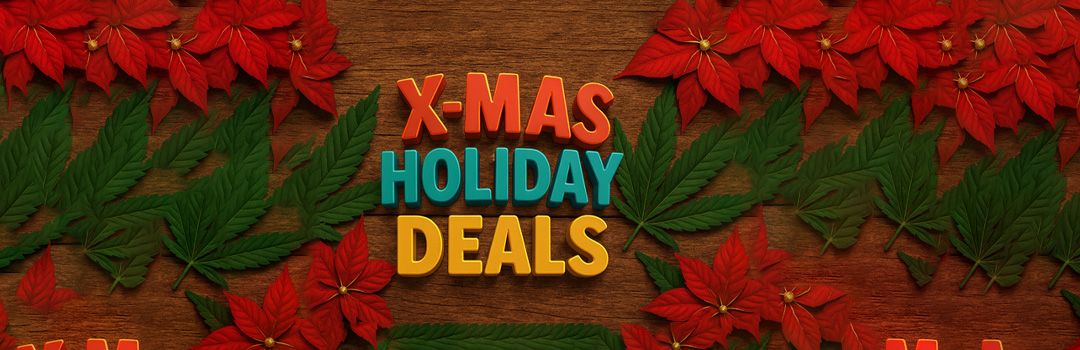 Holiday Deals