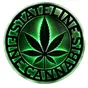 StateLine Fine Cannabis