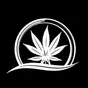 Higher Vision