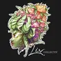 Liv Collectiv