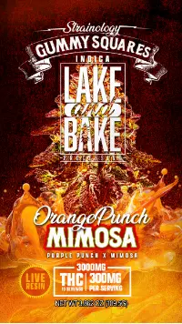 3000mg Live Resin Gummies - Orange Punch Mimosa - Sativa