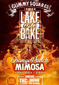 3000mg Live Resin Gummies - Orange Punch Mimosa - Sativa