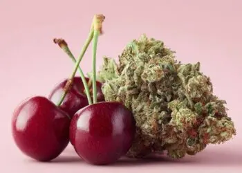 CHERRY BLOSSOM THC 27.88% OUNCE