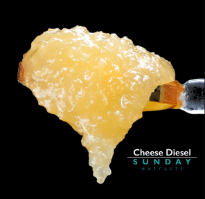 1g Concentrate Live Resin - Cheese Diesel