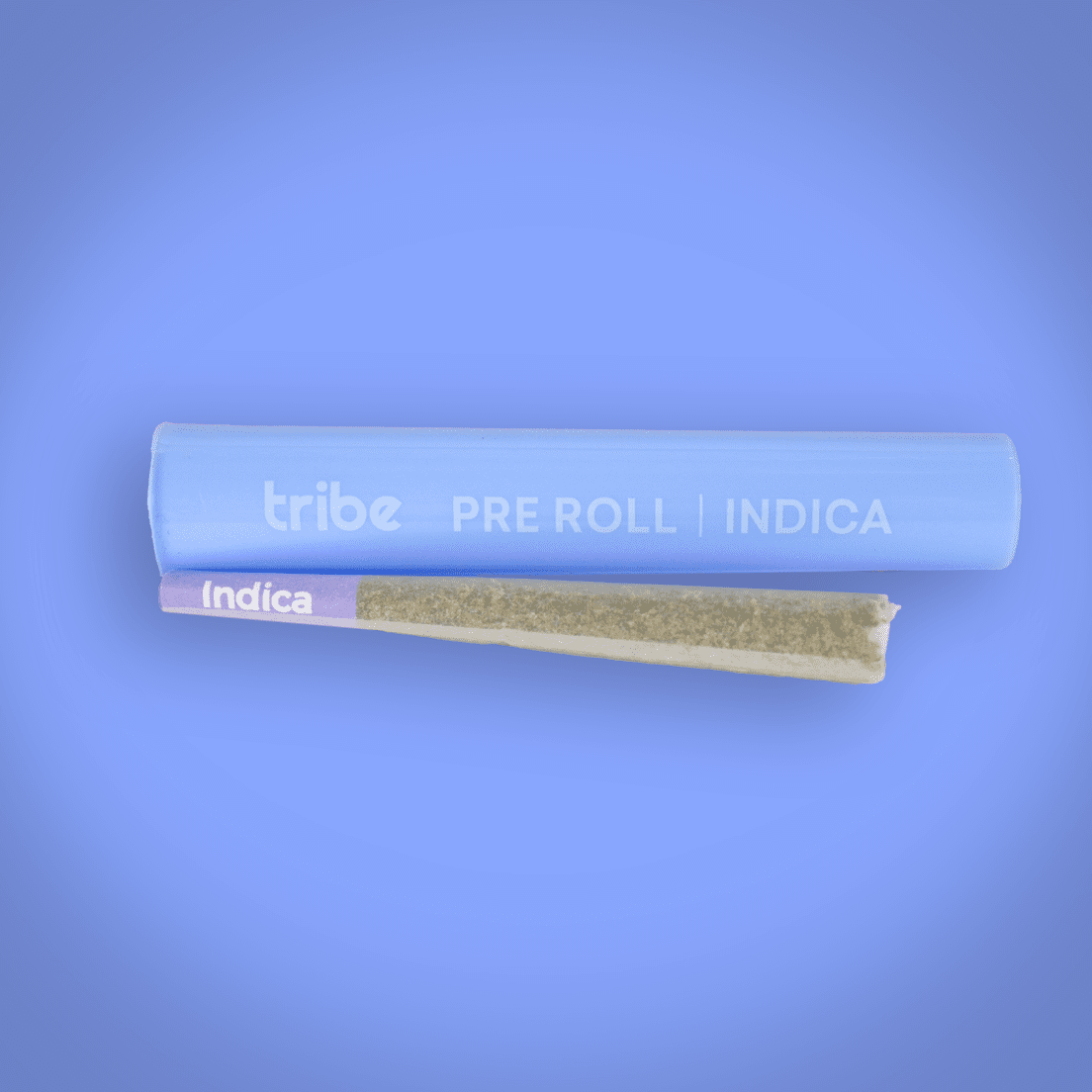 TRIBE GORILLA POPZ PREROLL 1G
