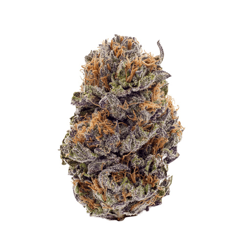 Bag Snobz - Tree Sap 3.5G