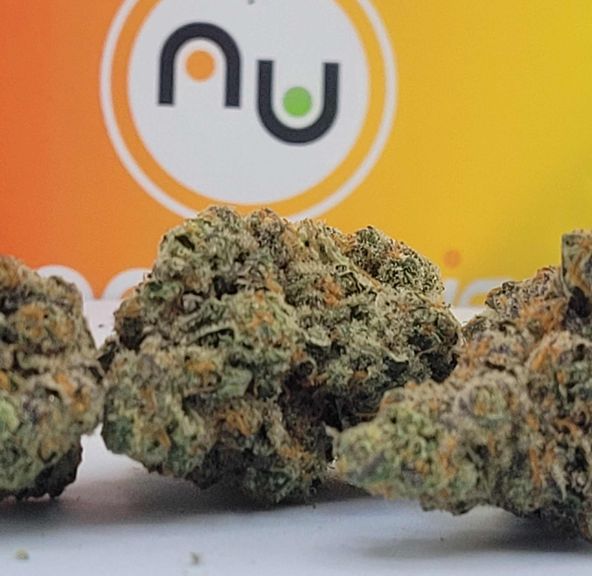 NU Peanut Butter Jealousy 3.5G TOP SHELF INDOOR PREMIUM CANNABIS