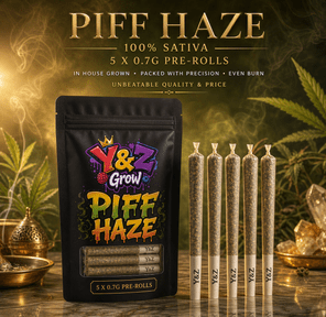 0.7G Pre-Roll: PIFF Haze (100% Sativa) 5 PACK