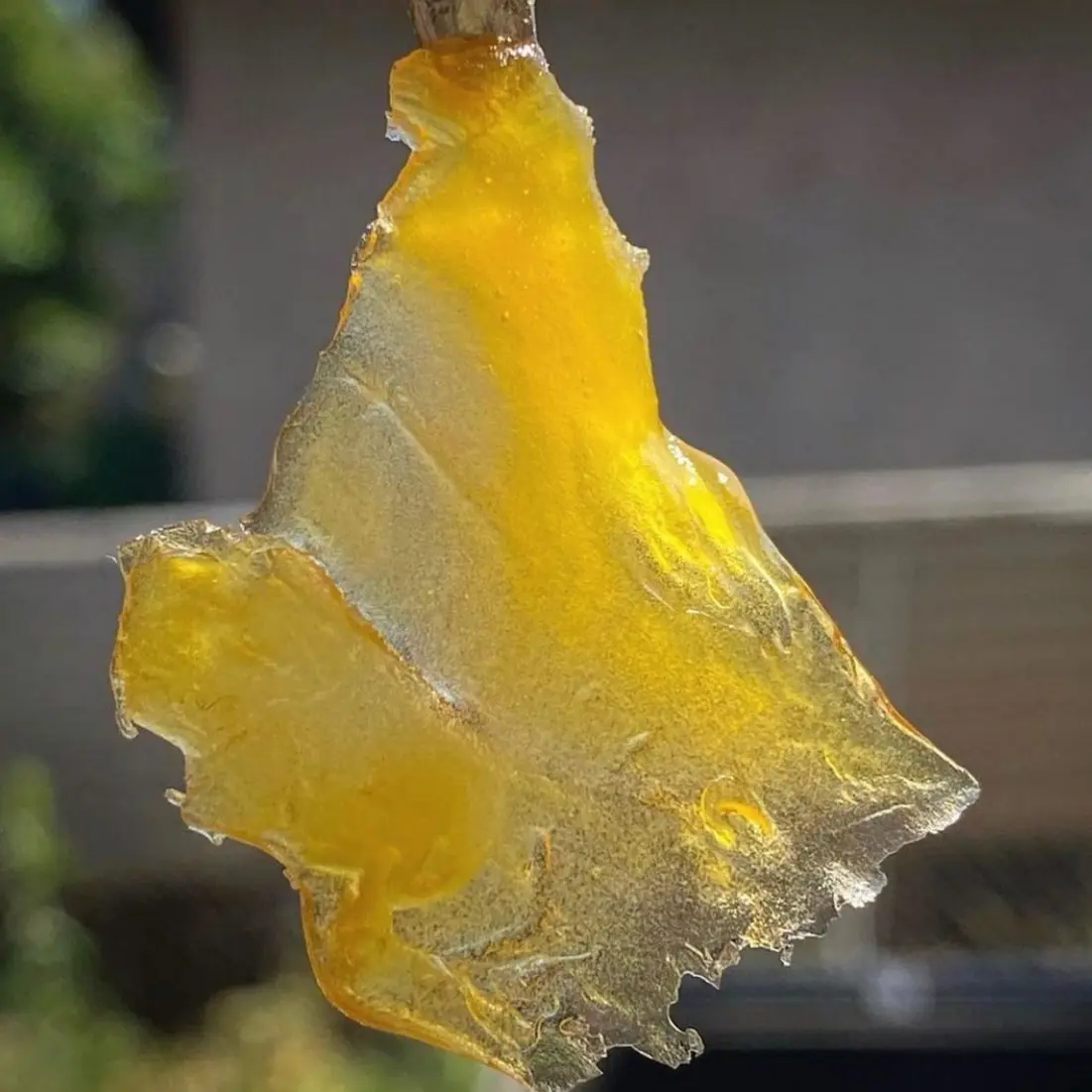 Kings Garden: Ghost OG Live Shatter (1g)