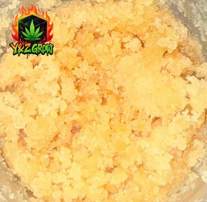 ❤️NEW❤️Extracts #6 - Hawaiian Candy (HYBRID)