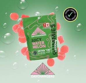 DAY CHANGERS JUICY WATERMELON THC:CBD:CBG GUMMIES 2500MG