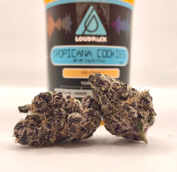 PRE-ORDER ONLY 1/8 Tropicana Cookies (Indoor/26.78%/Sativa) - Loudpack