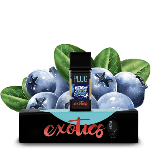 PLUG EXOTICS: Berry Gang