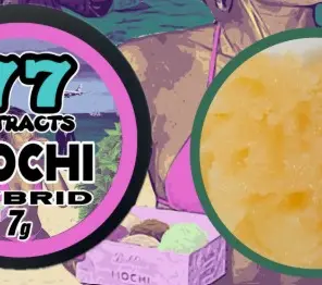 77 Extracts - Mochi - 1g
