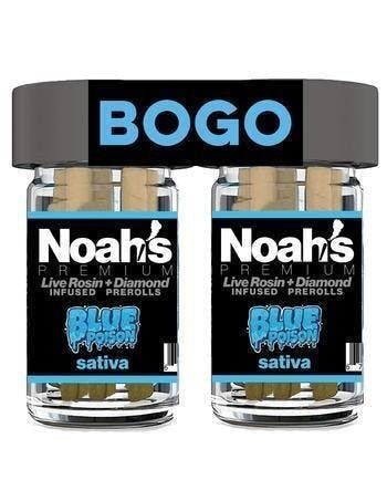 * Noahs Premium Blue Posion 2 pack