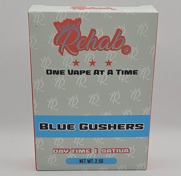 Rehab - Disposable - Blue Gushers - 2.5G