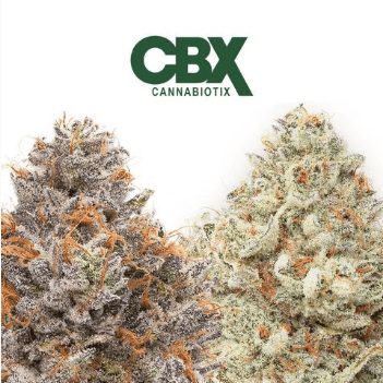 B. Cannabiotix 3.5g Flower - Quality 10/10 - Bubblegum (~26%)