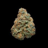 Flower- Sherb Cocktail #7 Bulk