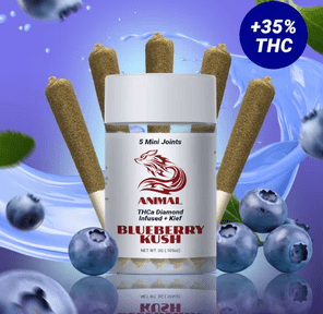 5pk Blueberry Kush / THCa Diamond infused Joint 3.00 g