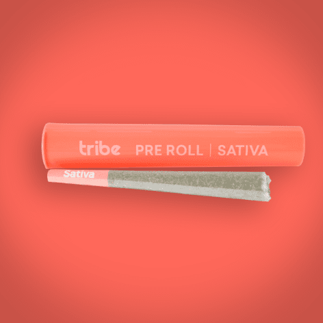 Burpeez - Sativa - Flower Pre Roll