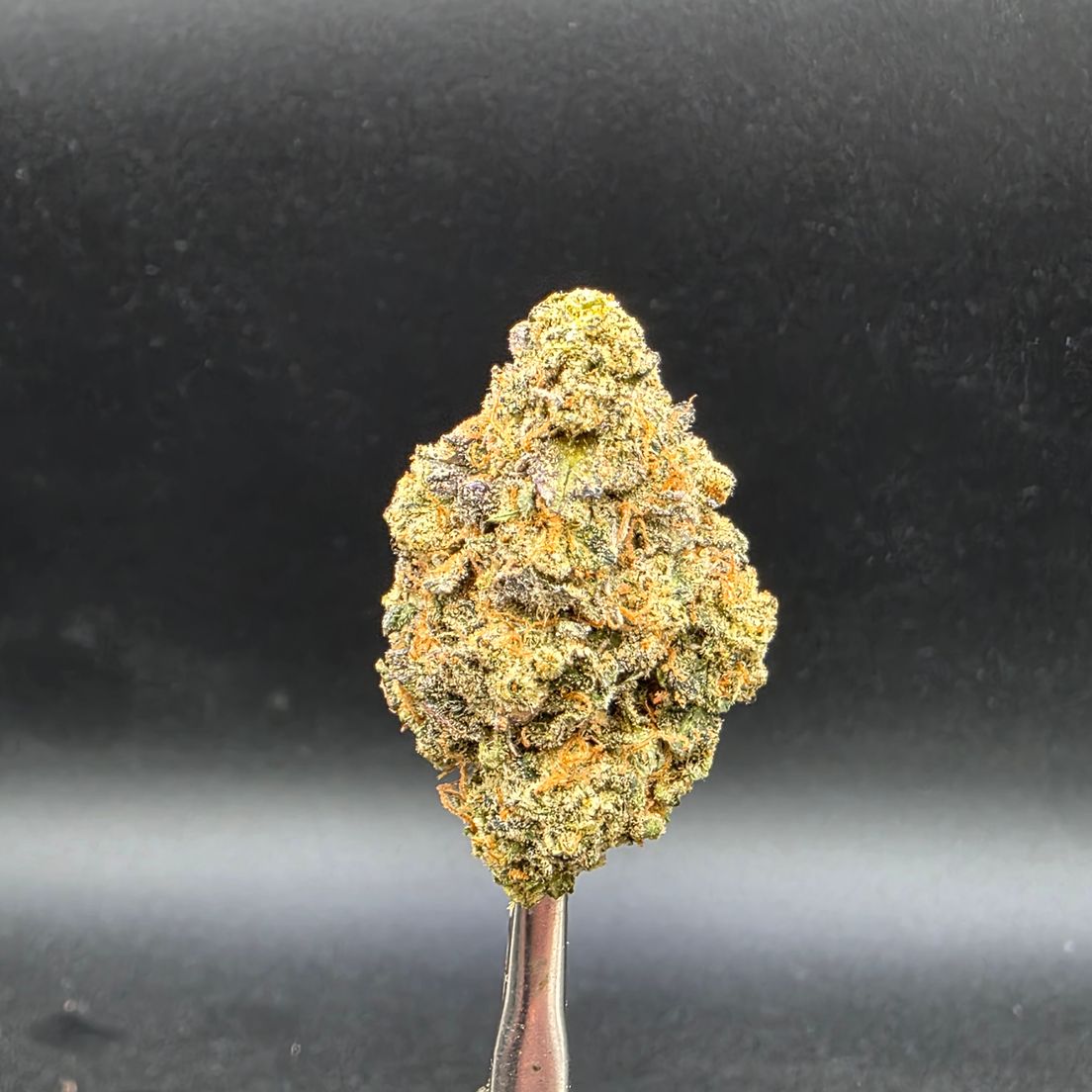 Banana Sherb - Tier 4