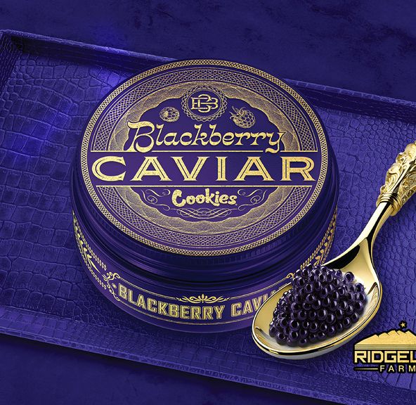 Cookies- Blackberry Caviar Cartridge (1g)