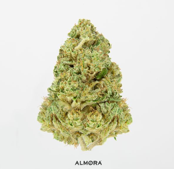Almora Farms Blue Banana 3.5g 25.49%