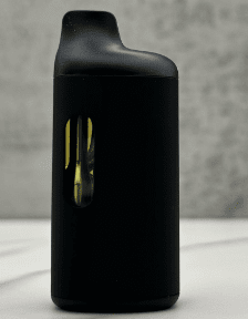 2g Disposable - Sour Mango