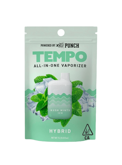 Tempo - AIO Kush Mints Ice 1g Disposable